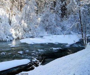 puzzel Rivier in de winter