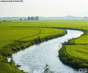 puzzel Rivier tussen rijstvelden