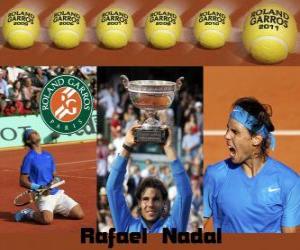 puzzel Roland Garros kampioen Rafael Nadal 2011