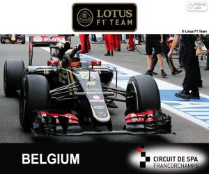 puzzel Romain Grosjean, GP België 2015