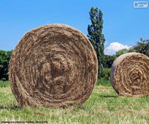 puzzel Ronde strobalen