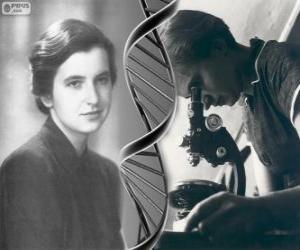 puzzel Rosalind Franklin (1920-1958), pionier in DNA-onderzoek