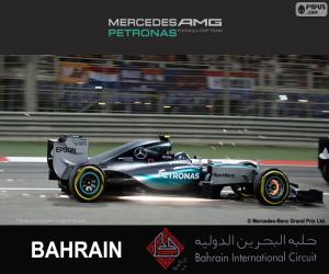 puzzel Rosberg G.P. Bahrein 2015