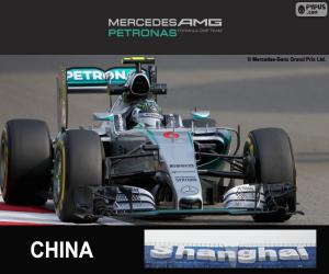 puzzel Rosberg G.P China 2015