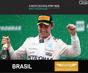puzzel Rosberg Grand Prix van Brazilië 2015