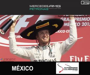 puzzel Rosberg Grand Prix van Mexico 2015