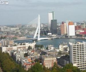 puzzel Rotterdam, Nederland