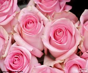 puzzel Roze rozen