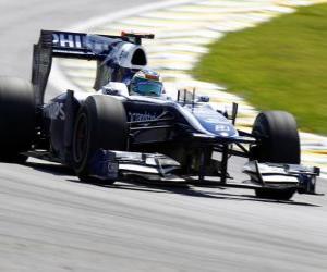 puzzel Rubens Barrichello - Williams - Interlagos 2010