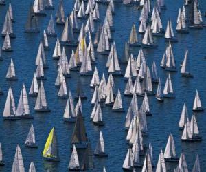 puzzel Sailing regatta