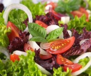 puzzel Salade