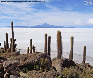 puzzel Salar de Uyuni, Bolivia