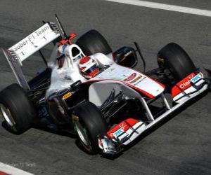 puzzel Sauber C30 - 2011 -