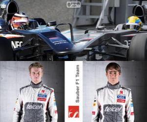 puzzel Sauber F1 Team 2013