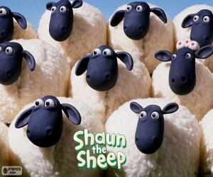 puzzel Schapen van de kudde van Shaun