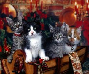 puzzel Schattige kittens op eerste kerstdag