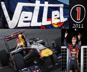 puzzel Sebastian Vettel, F1 World Champion 2011 met Red Bull Racing, is de jongste wereldkampioen