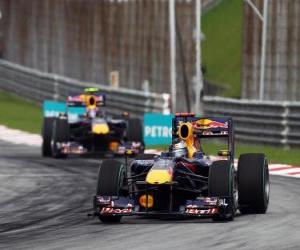 puzzel Sebastian Vettel, Mark Webber - Red Bull - Sepang 2010