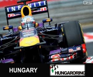 puzzel Sebastian Vettel - Red Bull - Grand Prix van Hongarije 2013, 3e ingedeeld