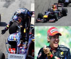 puzzel Sebastian Vettel viert zijn overwinning bij de Braziliaanse Grand Prix (2010)