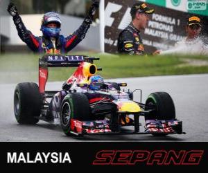 puzzel Sebastian Vettel viert zijn overwinning in de Grand Prix van Maleisië 2013
