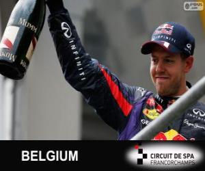 puzzel Sebastian Vettel viert zijn overwinning in de Grand Prix van België 2013