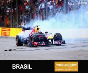 puzzel Sebastian Vettel viert zijn overwinning in de Grand Prix van Brazilië 2013