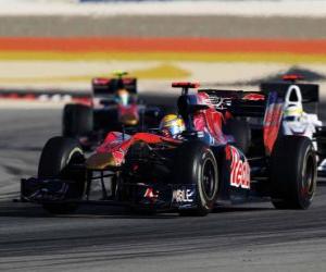 puzzel Sebastien Buemi - Toro Rosso - Bahrain 2010