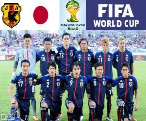 puzzel Selectie van Japan, Groep C,  Brazilië 2014
