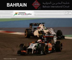 puzzel Sergio Perez - Force India - 2014 Grand Prix van Bahrein, 3e ingedeeld