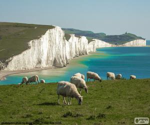 puzzel Seven Sisters, Engeland