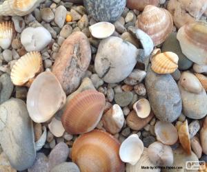 puzzel Shells en de stenen zee