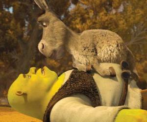 puzzel Shrek en Donkey aan te staren