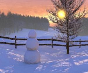 puzzel Sneeuwpop in het landschap