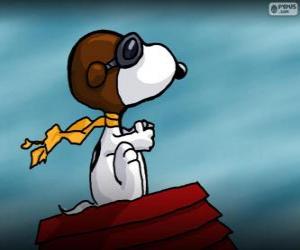puzzel Snoopy piloot