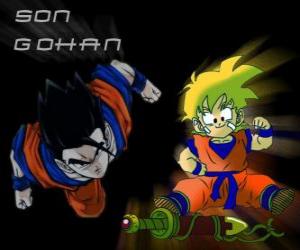 puzzel Son Gohan, Goku's oudste zoon, krijger, half mens en half Saiyan.