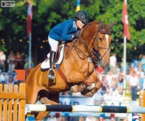 puzzel Springen. De ruiter en het paard in een sprong