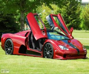 puzzel SSC Ultimate Aero