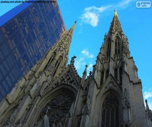 puzzel St. Patrick's Cathedral, New York