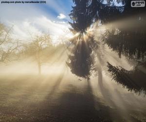 puzzel Stralen van de zon