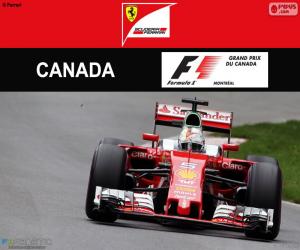 puzzel S.Vettel, Grand Prix van Canada 2016