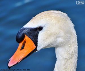 puzzel Swan hoofd