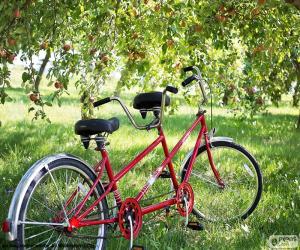 puzzel Tandem van twee fietsers