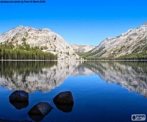 puzzel Tenaya Lake, Verenigde Staten