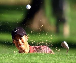 puzzel Tiger Woods hit uit de bunker