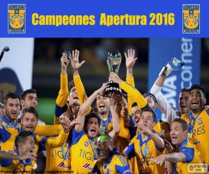 puzzel Tigres UANL, Apertura 2016