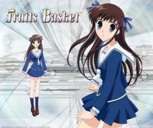 puzzel Tohru Honda is een middelbare school student en de hoofdpersoon van Fruits Basket