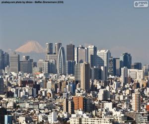 puzzel Tokio, Japan