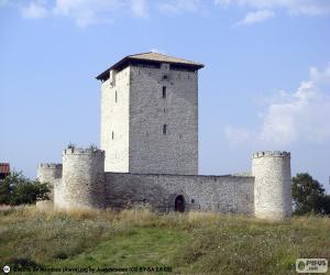 puzzel Toren van Mendoza, Spanje