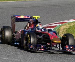 puzzel Toro Rosso STR6 - 2011 -